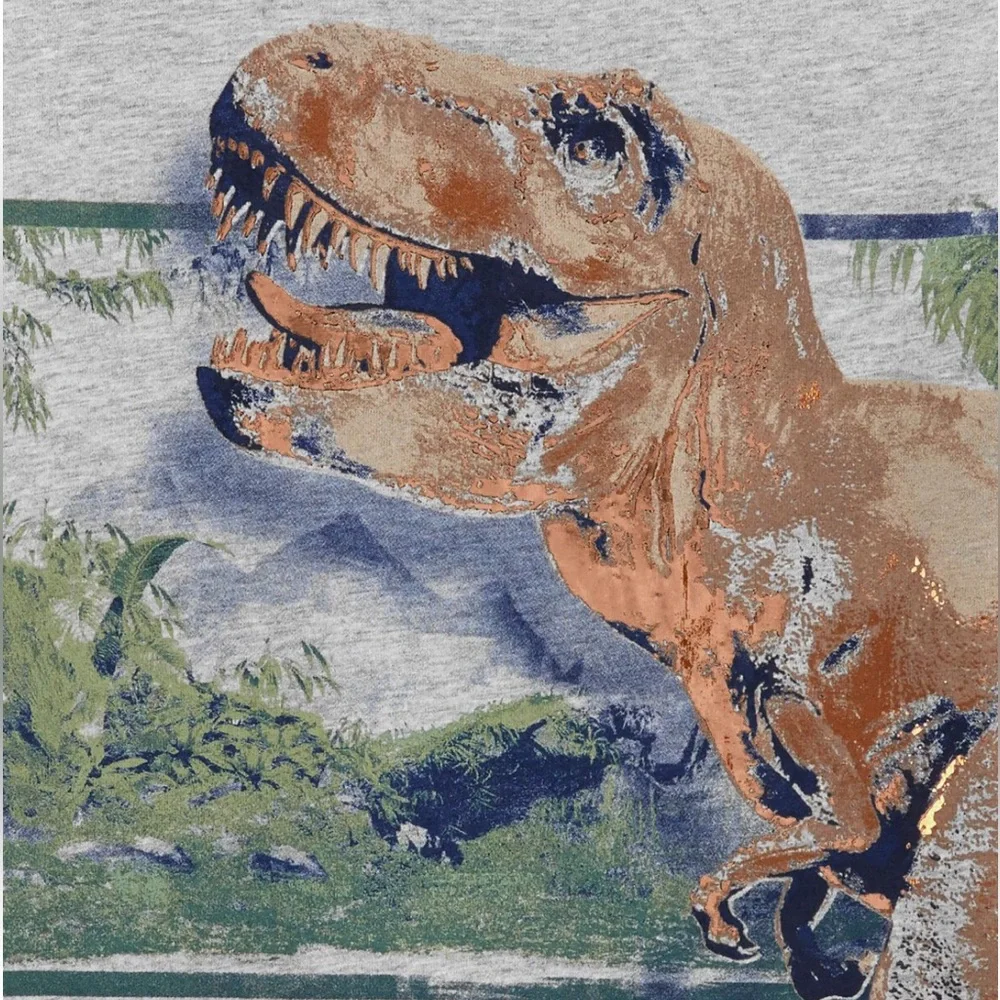 Carter’s Kids Gray T-Rex Dinosaur Graphic Tee Boys Size 8 Short Sleeve Shirt